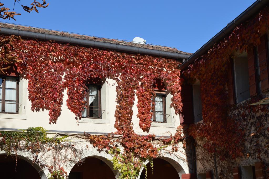 I Giardini Segreti Di Villa Marcello Marinelli Cison di Valmarino Luaran gambar