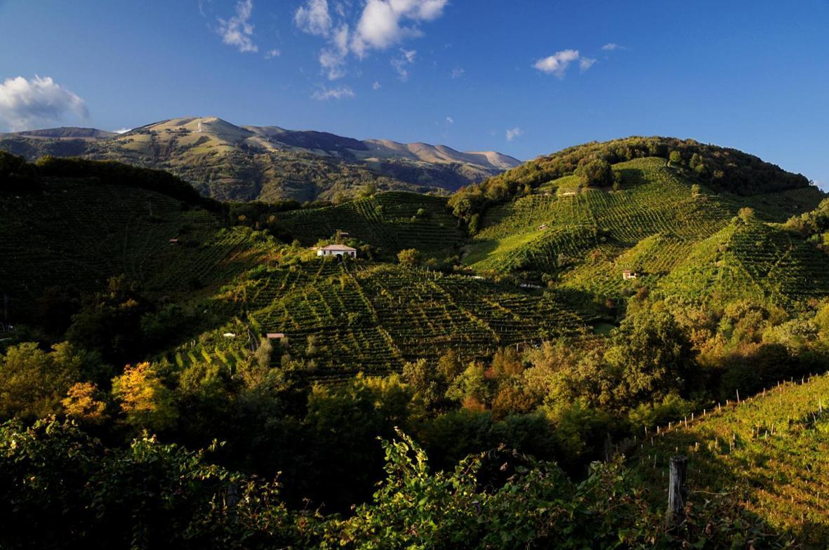 I Giardini Segreti Di Villa Marcello Marinelli Cison di Valmarino Luaran gambar